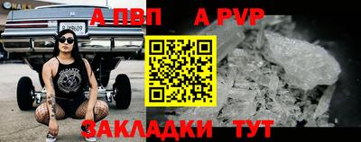 стафф Белореченск