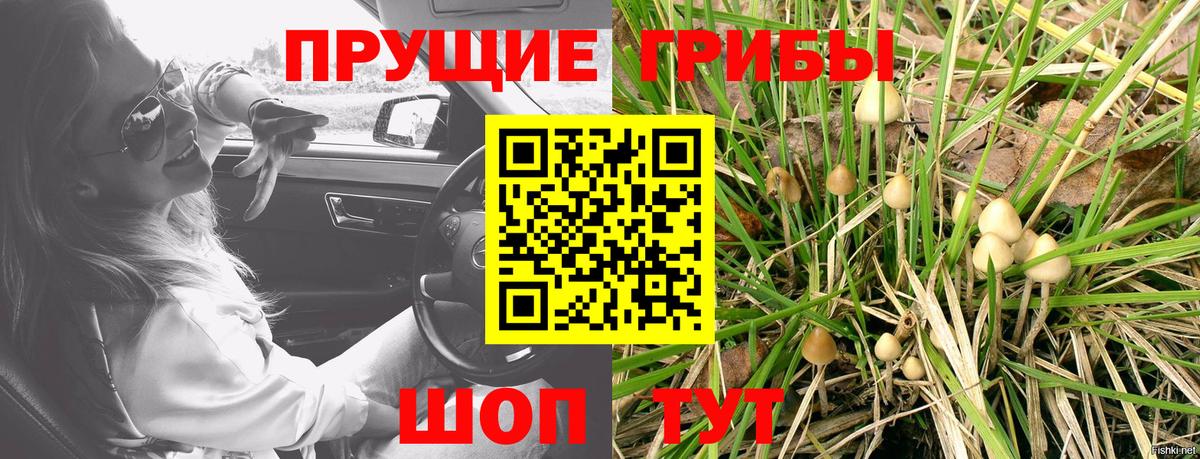 Галлюциногенные грибы GOLDEN TEACHER  Вход с VPN  Норильск 