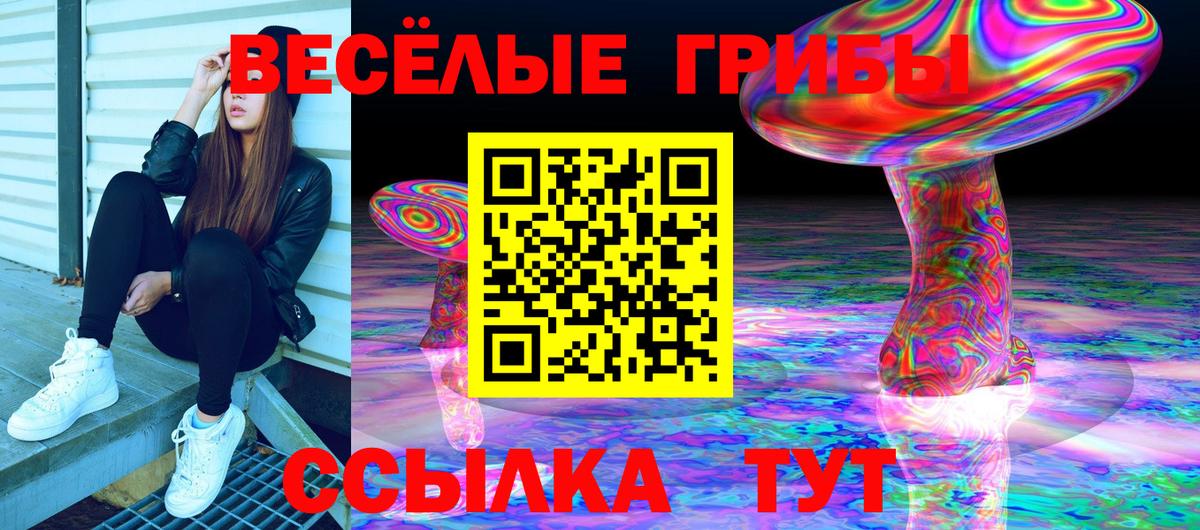 Галлюциногенные грибы MAGIC MUSHROOMS Норильск